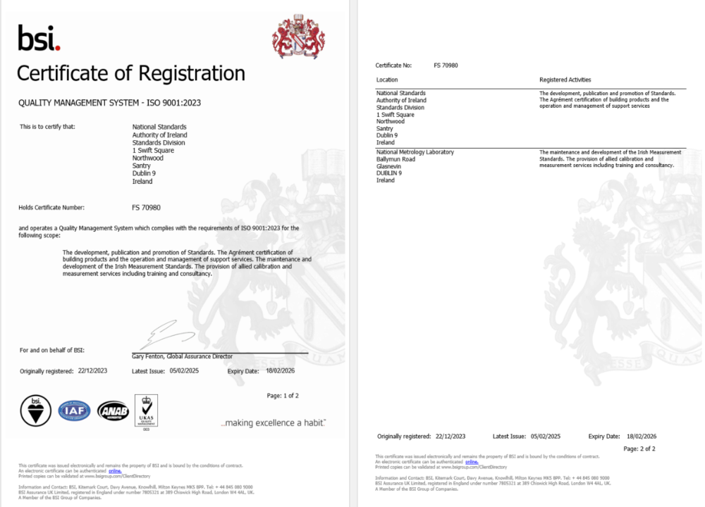 Ireland Dublin BSI certificate of registration Word and PDF template